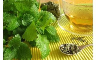 Melisa Otu Melisa Otu